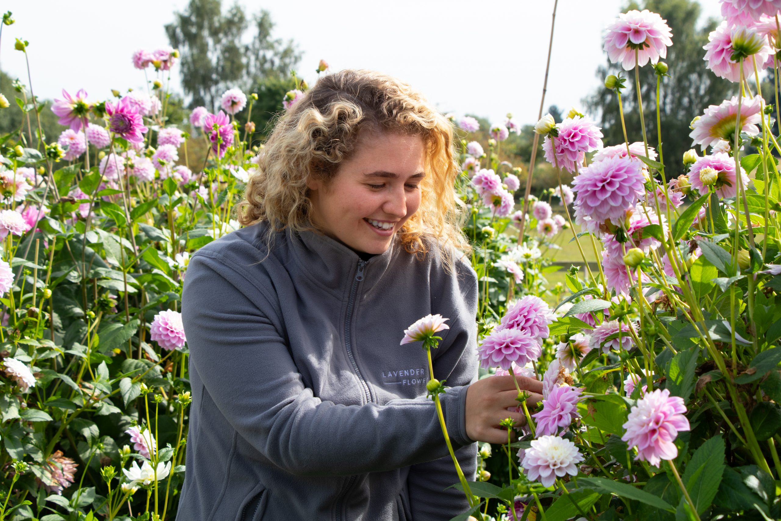 Sustainability Lavender Green Flowers
