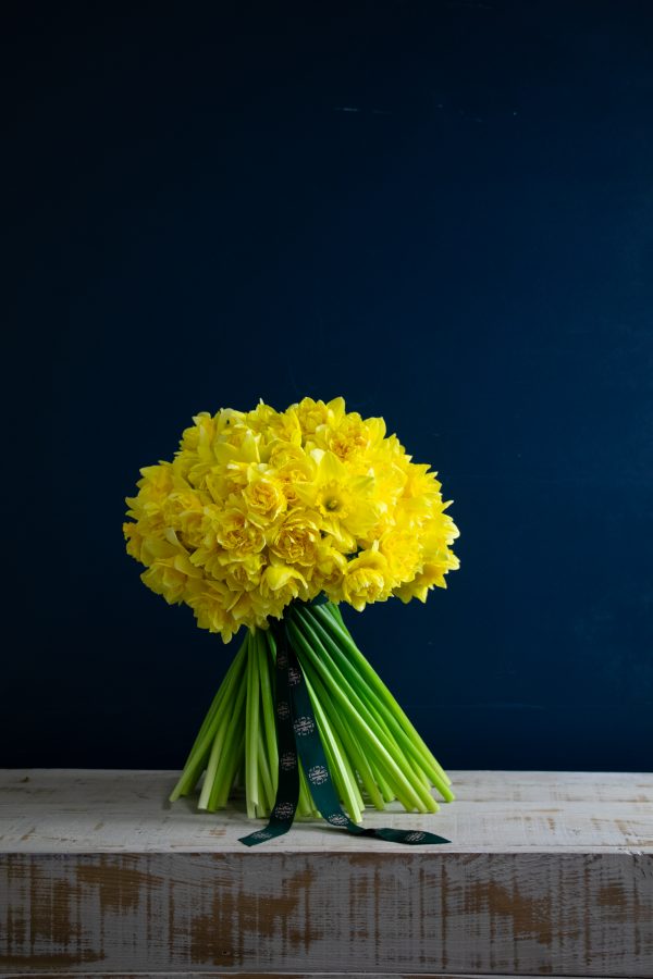 100 Double Headed Daffodils