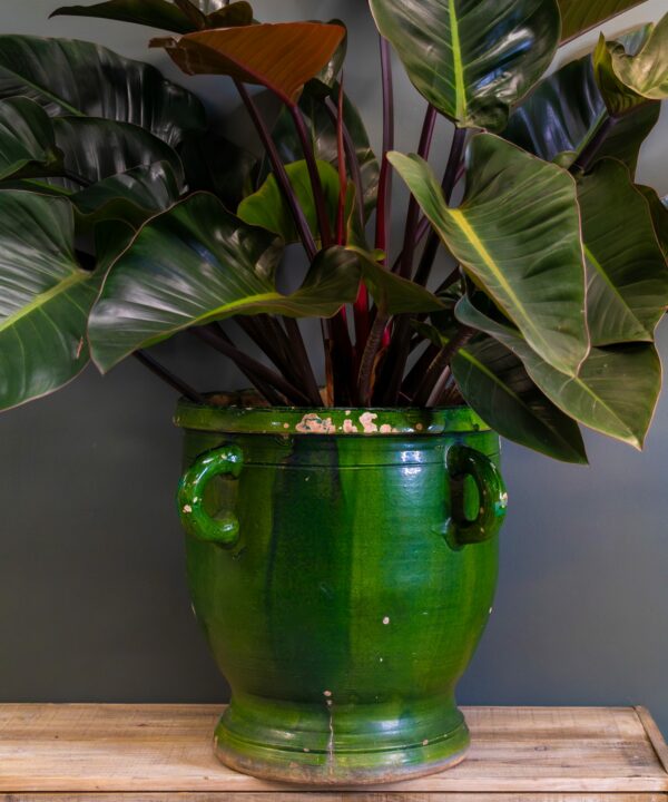 French Anduze Pot