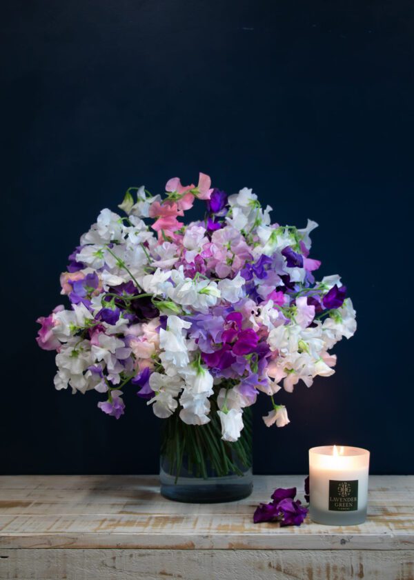 Sweet Pea Symphony