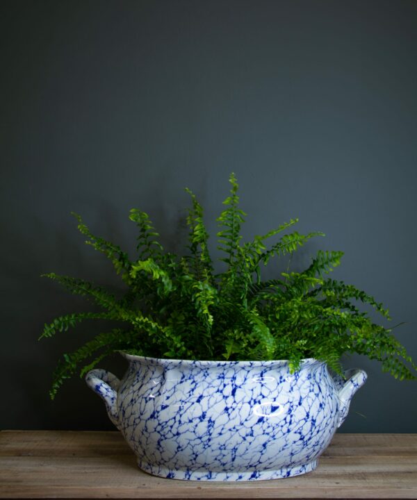 French faux marble pot with fern in