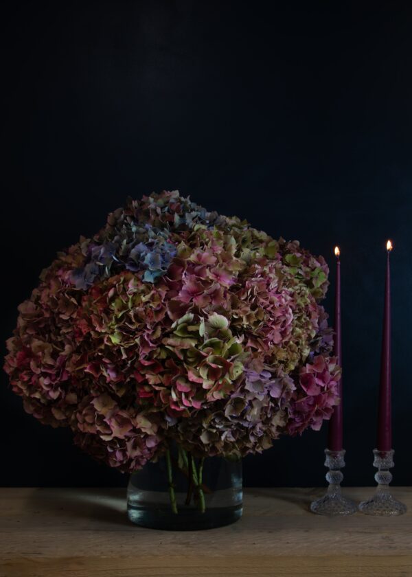 hydrangea bouquet
