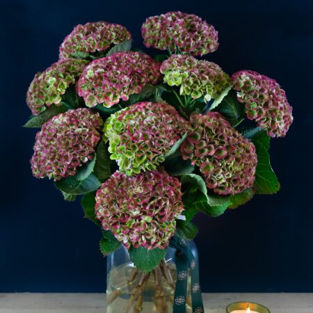 hydrangea bouquet