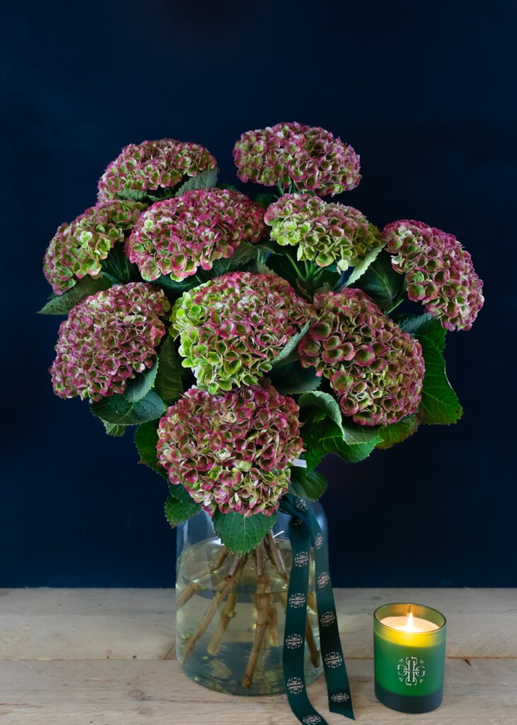 hydrangea bouquet