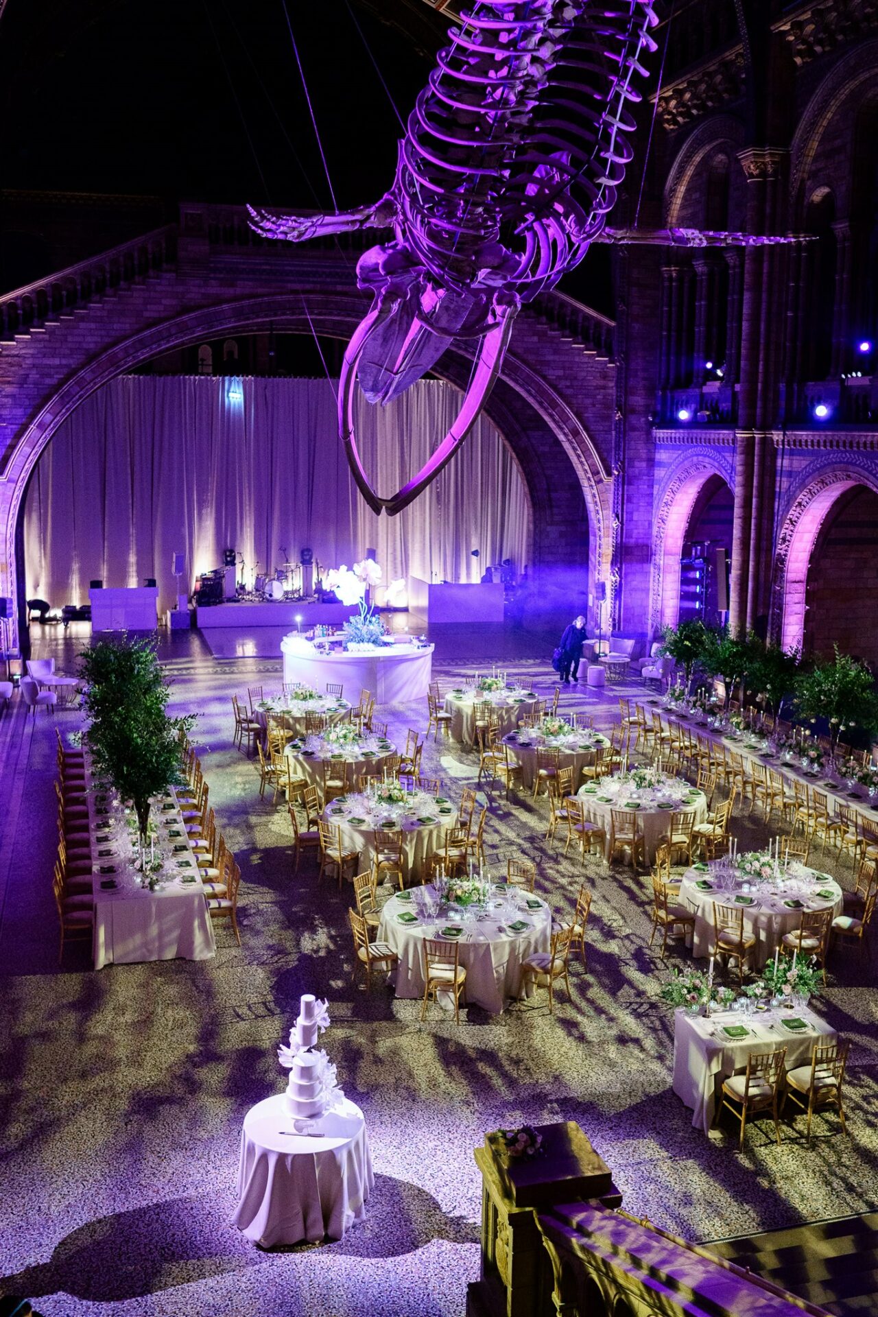 A Night at the Museum