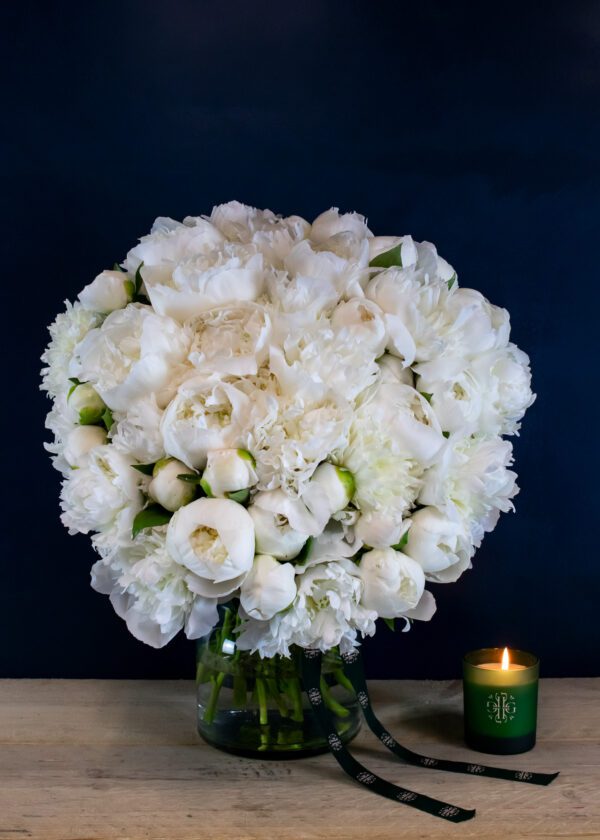 Peony Passion