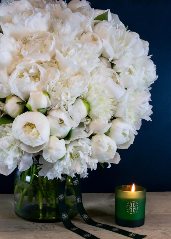 Peony Passion