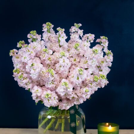 Stock Bouquet