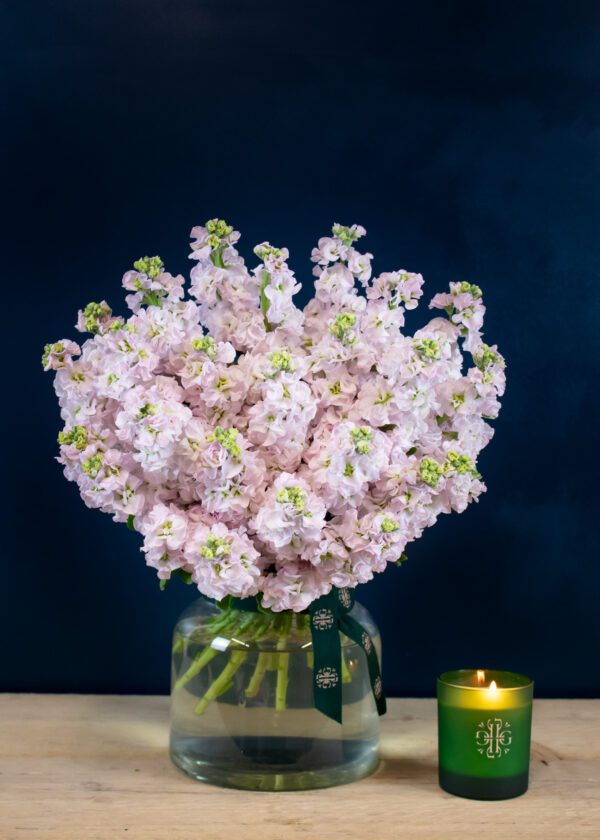 Stock Bouquet