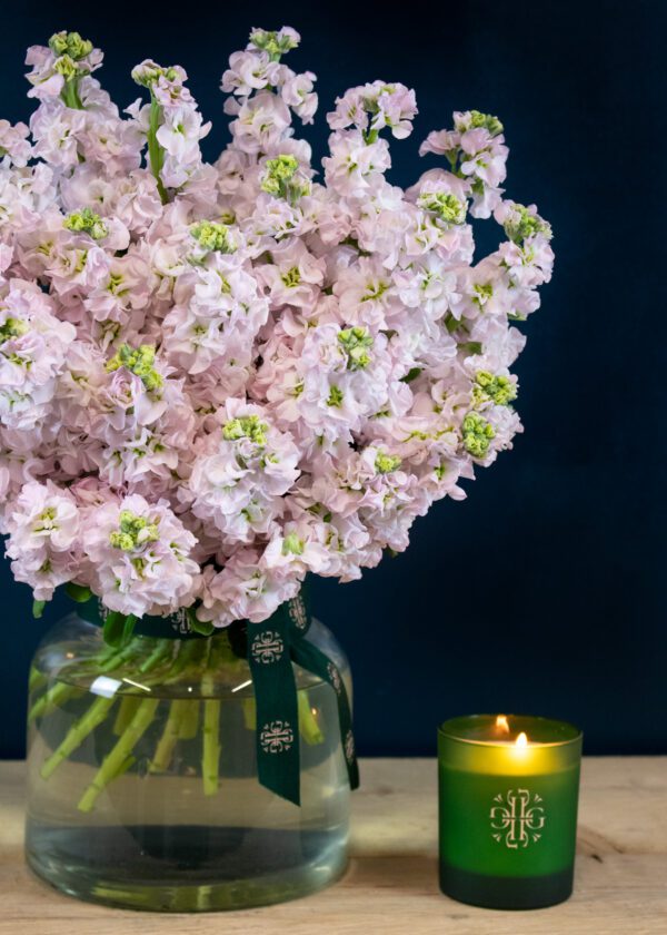 Stock Bouquet