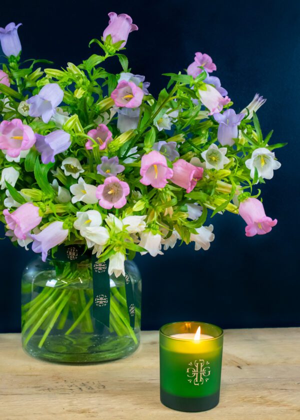 Campanula Bouquet