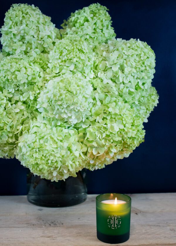 Hydrangea bouquet