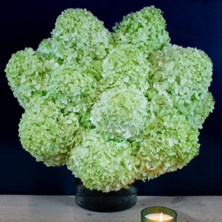 Hydrangea bouquet