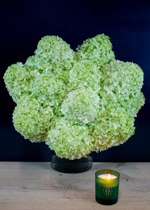 Hydrangea bouquet