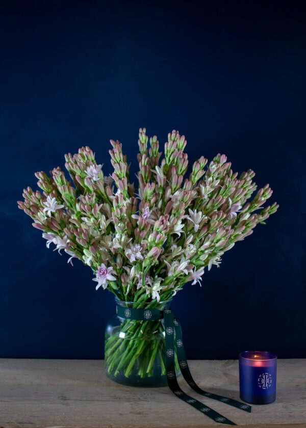The Tuberose Bouquet