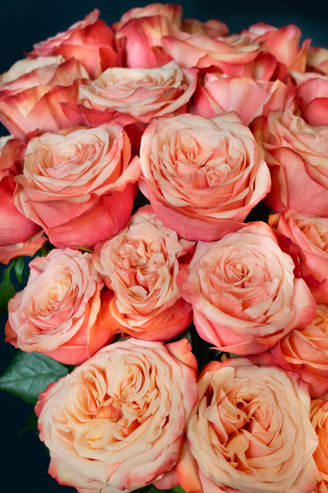rose bouquet