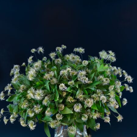 The Clematis Bouquet